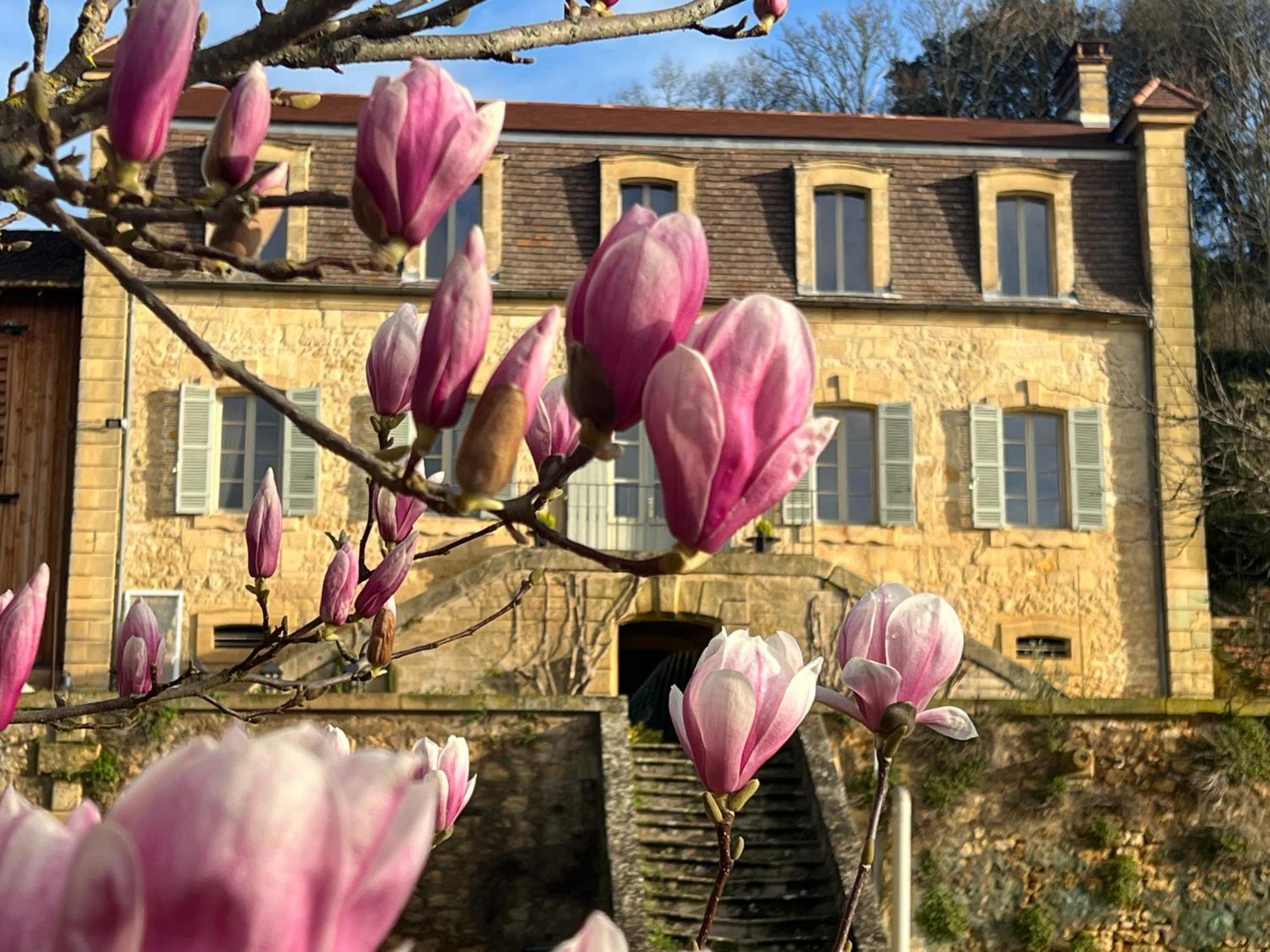 Le Clos De L'ane Dentelle Bed & Breakfast *