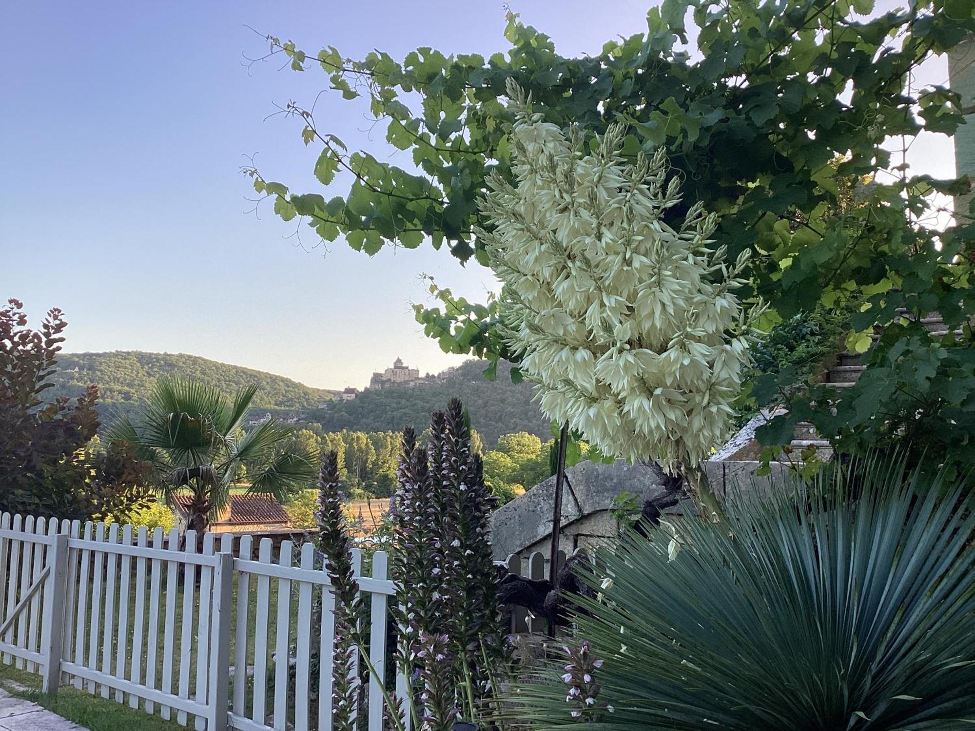 Le Clos De L'ane Dentelle *