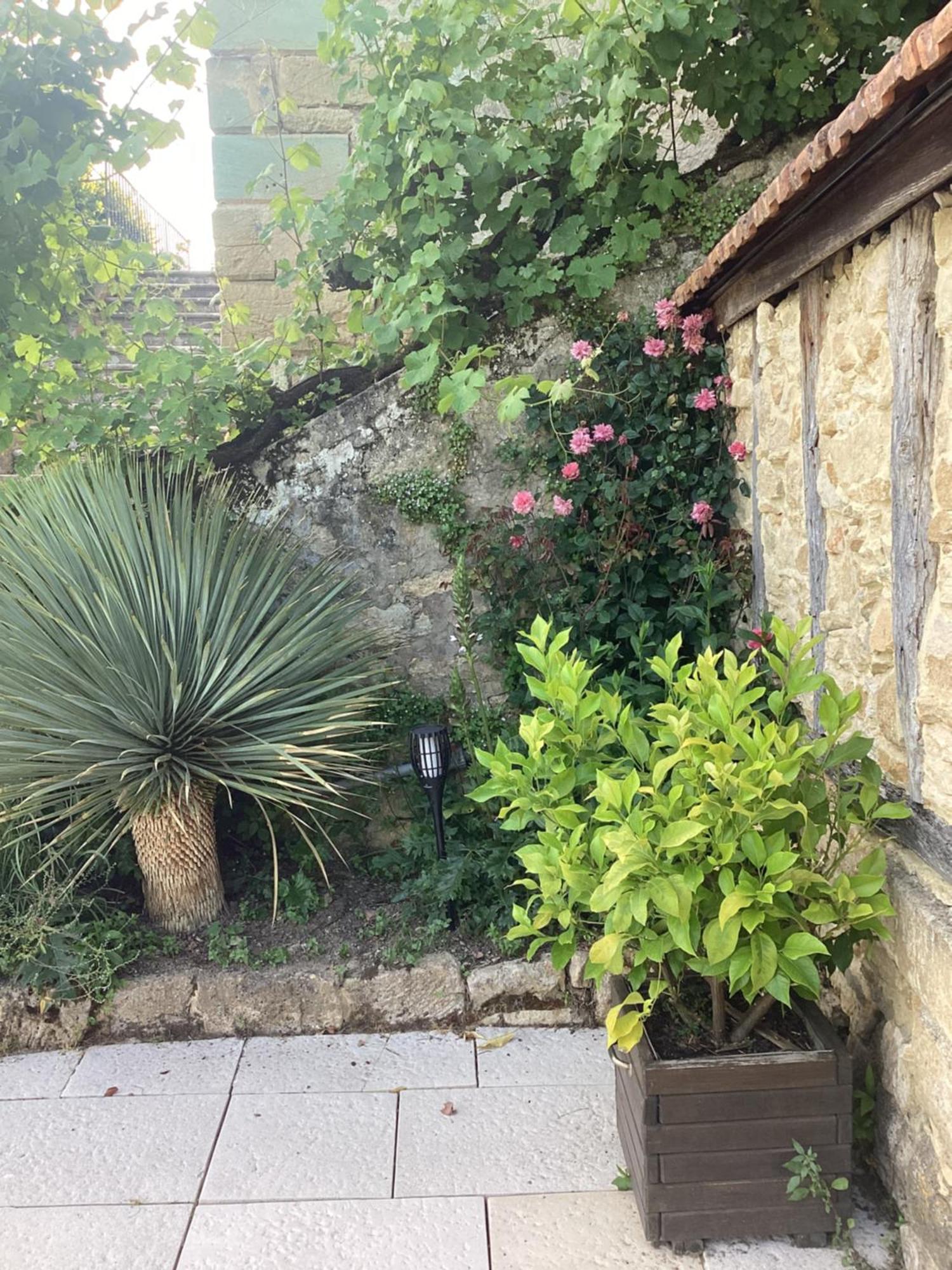 Le Clos De L'ane Dentelle Vezac (Dordogne)